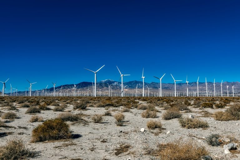 Nachhaltige Investitionen: Grüne Geldanlagen im Überblick